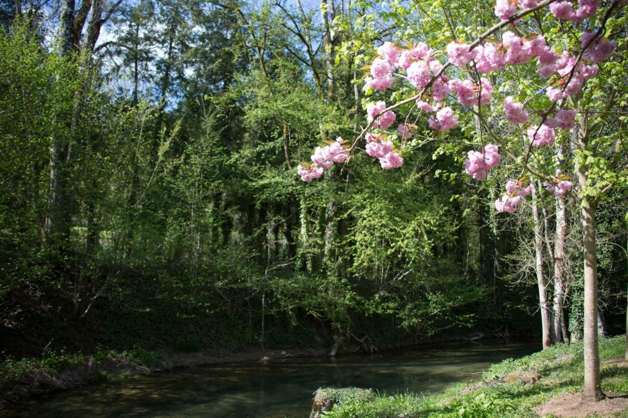 Gite Moulin De La Serree Nuits-Saint-Georges Kültér fotó